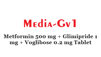 MEDIA- GV1